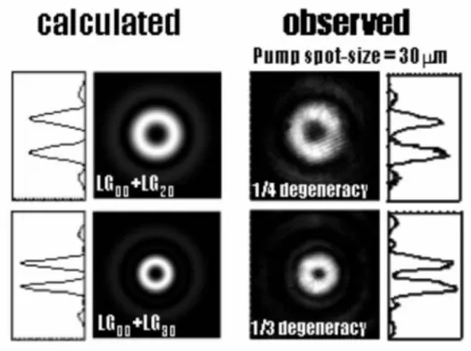 Fig. 1-4 Calculated radial intensity distributions and the experimentally observed beam profiles in Tai’s  study