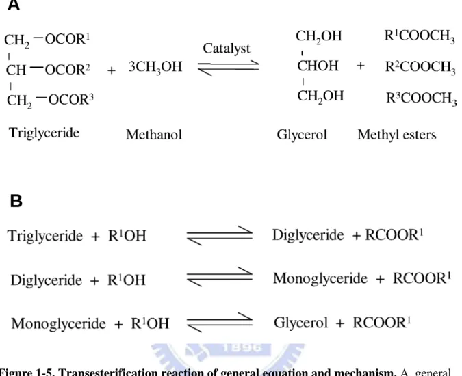 Figure 1-5. Transesterification reaction of general equation and mechanism. A, general  equation for transesterification of triglycerides