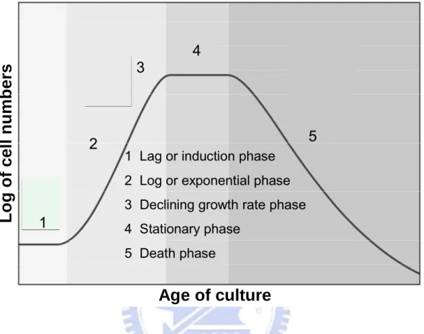 Figure 1-3. Growth phases of microalgae cultures. The growth curve of microalgae was  observed and the lag, log, stationary and decline phases were identified