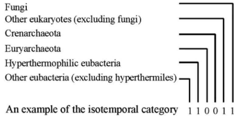 Fig. 1. Isotemporal classification of the yeast proteins. Isotemporal catego- catego-ries are designed through a binary (b) coding scheme