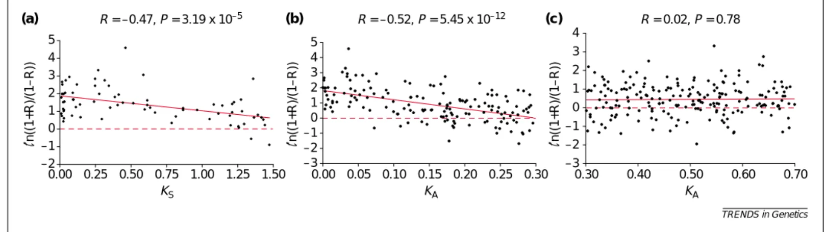 Fig. 1. Relationship between the correlation coefficient (R) of gene expression over all available data points and K S (K A ) between duplicate genes