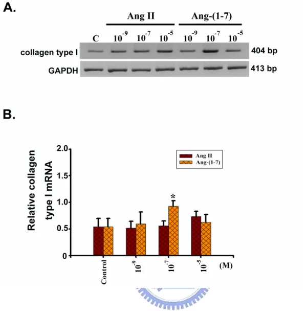 Figure 7. The effects of Ang II and Ang-(1-7) on collagen type I mRNA in H9c2 cells. H9c2 cells were treated with Ang II and Ang-(1-7) in concentrations of 10 -9 , 10 -7 and 10 -5 M for 12 h