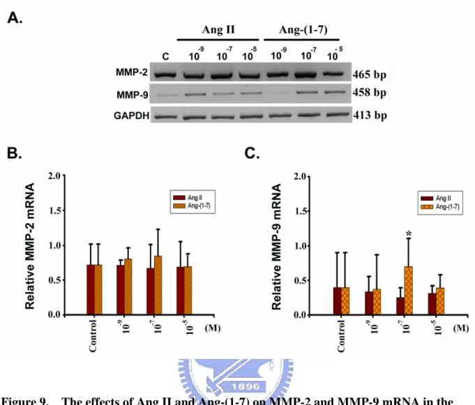 Figure 9. The effects of Ang II and Ang-(1-7) on MMP-2 and MMP-9 mRNA in the H9c2 cells