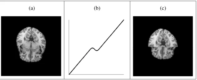 Figure 1.1: An example of folding. (a) The image before transformation. (b) The mapping function along y-axis (non-injective)