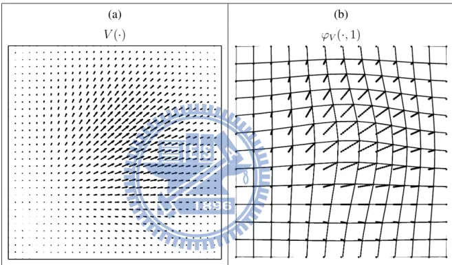 Figure 2.2: A diffeomorphism is obtained by calculating the flow of its velocity field