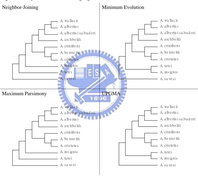 Figure 3. Trees by the four methods excluding Aegotheles novaezealandiae. Neighbor-Joining  A