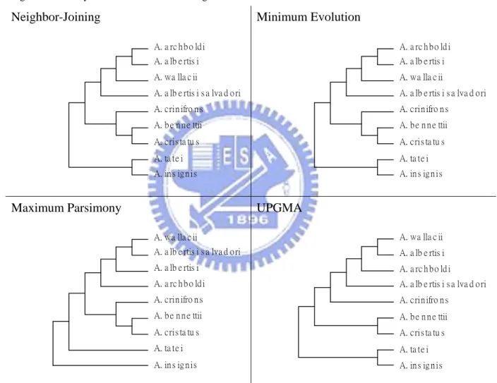 Figure 4. Trees by the four methods excluding the both. Neighbor-Joining  A. a rc h b o ld i A