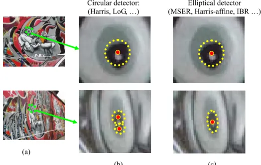 Fig. 1.1: (a) Two images taken from different viewpoints. (b) The detected regions by a circular detector