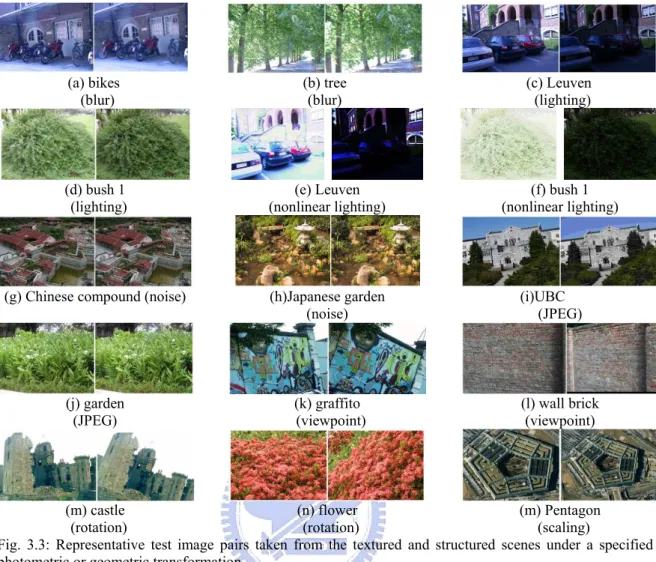 Fig. 3.3: Representative test image pairs taken from the textured and structured scenes under a specified  photometric or geometric transformation