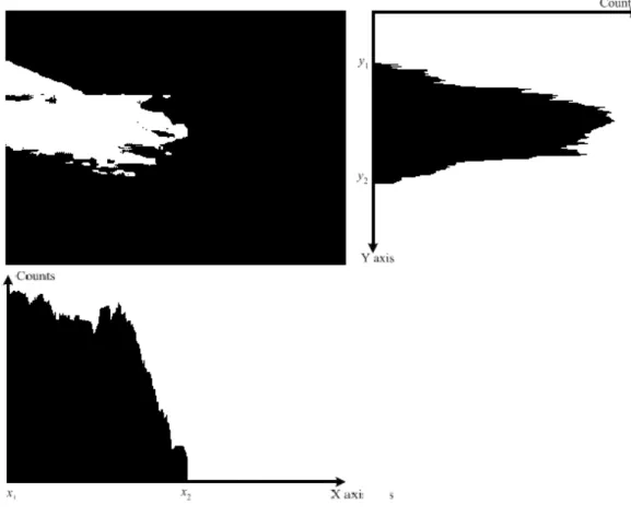 Fig. 3.6 Histogram of binary image  I skin   projection in the X and Y directions.