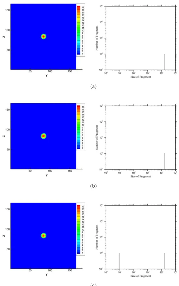 Fig. 3. 55 Snapshot of density contour and clusters size distribution of Xenon  droplets collision, b=0, V=750m/s, at (a) 25ps, (b) 75ps, (c) 150ps