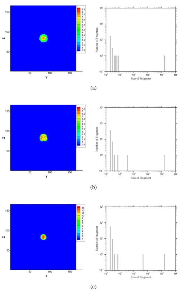 Fig. 3. 57 Snapshot of density contour and clusters size distribution of Xenon  droplets collision, b=0, V=1500m/s, at (a) 25ps, (b) 75ps, (c) 150ps