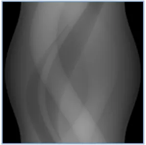 圖 2-2：Sinogram  資料   