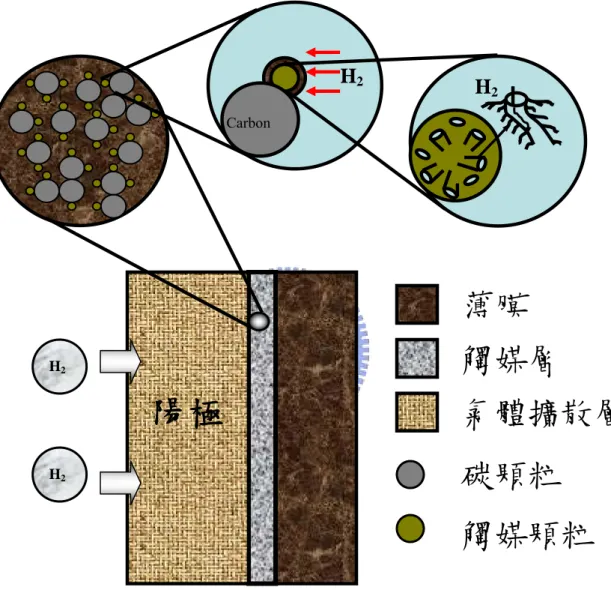 圖 1-4 Agglomerate 模式之質子交換膜半電池示意圖 H2 Carbon 薄膜  觸媒層  氣體擴散層 陽極碳顆粒 觸媒顆粒 H2H2H2