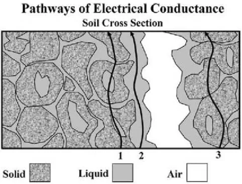 圖 2-6 電流於三相的傳遞特性（Rhoades et. al, 1999） 