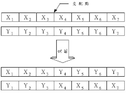 圖 2.2  單點式交配示意圖  [3]  2.  兩點交配(Two-Point Crossover)  兩點交配與單點交配之程序幾乎相同，其主要的不同處在於交配點的形 式。即當欲選擇交配點時以隨機方式產生兩個交配點，並交換此兩個交配點 間的字串單元值，如圖2.3  所示。  圖 2.3  兩點式交配示意圖  [3] 