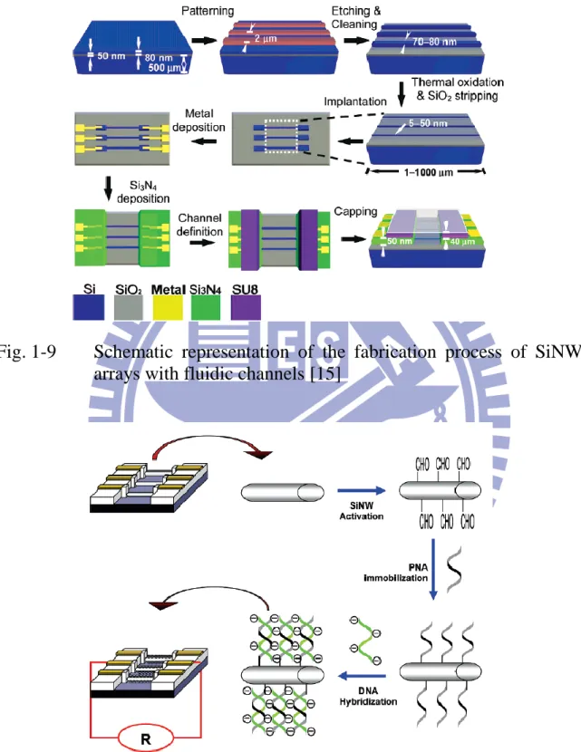 Fig. 1-9  Schematic  representation  of  the  fabrication  process  of  SiNW  arrays with fluidic channels [15] 