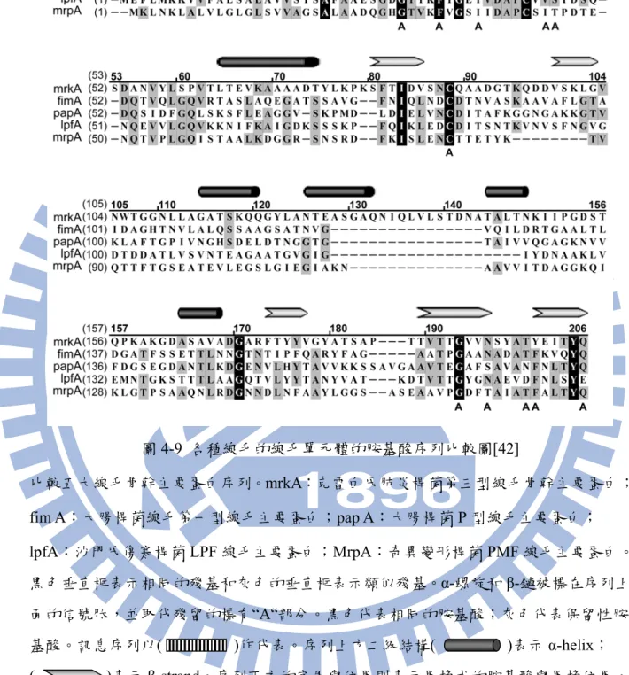 圖 4-9  各種線毛的線毛單元體的胺基酸序列比較圖[42] 