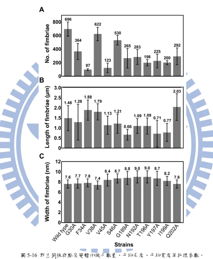 圖 5-16  野生菌株與點突變體的線毛數量、平均長度、平均寬度等物理參數。          (不包括缺乏線毛的 C 87 突變體) 
