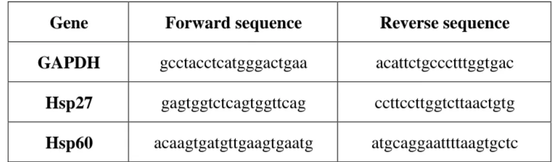 Table 1 Primer sequences 