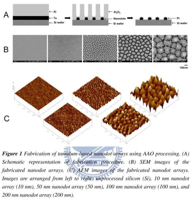 Figure 1 Fabrication of tantalum-based nanodot arrays using AAO processing. (A)  Schematic  representation  of  fabrication  procedure