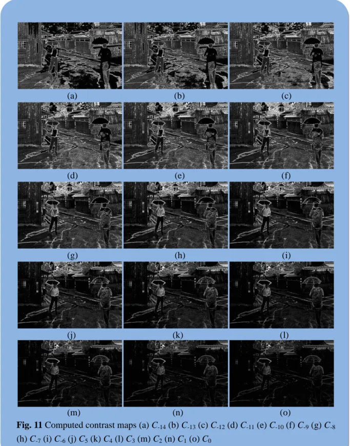 Fig. 11 Computed contrast maps (a) C -14  (b) C -13  (c) C -12  (d) C -11  (e) C -10  (f) C -9  (g) C -8
