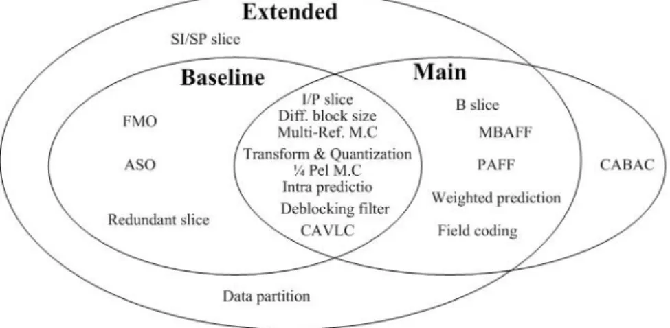 Figure 2-1 Specific coding parts of the three profiles in H.264/AVC 