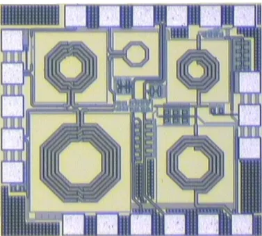 Fig. 2-17 The micrographic of the proposed switched dual-band LNA 