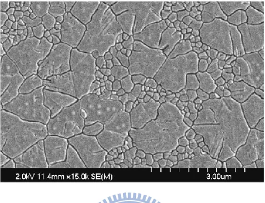 Fig. 2-4. The SEM graph of poly-Si by conventional ELC process in SLG regime. 