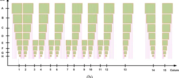 Figure 2.2 (a) Electrode array patterm and (b) array description of the microelectrode  chip