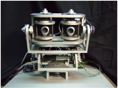 Fig. 3.1 Humanoid vision system   