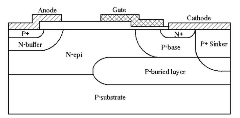 圖 2.2 P 型井與 P 埋藏層結構圖 