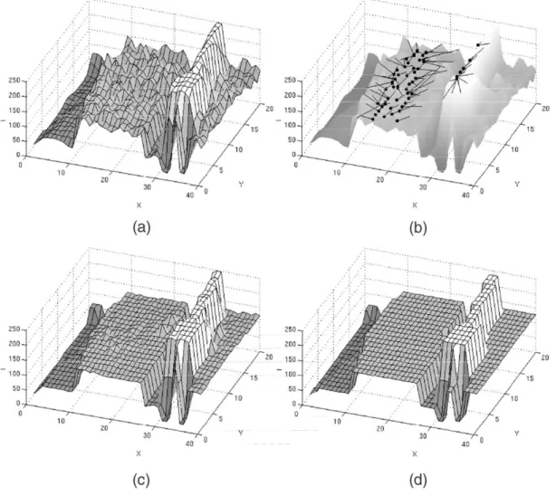 Fig. 2.4. Visualization of mean shift filtering and segmentation results for gray level  data [6]