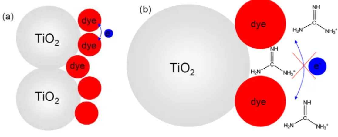圖 1- 11 加入 GuNCS 對二氧化鈦薄膜的影響  (a)未加入 GuNCS 時，處於激發態的染料分子可能因為還沒有被還原劑還原而從 TiO 2 導帶上的電子或附近基態的染料搶電子  (b)加入 GuNCS 後，guanidinium 陽離子在激發態染料的表面形成一層庫侖斥力， 阻擋再結合  (B)  準固態電解質系統          由於液態電解質系統有以下的缺點如：封裝困難、有機溶劑會揮發、電解液 容易洩漏等問題造成長期工作過程中性能下降或壽命降低等影響，故近幾年來準 固態電解質系統與全固態電解