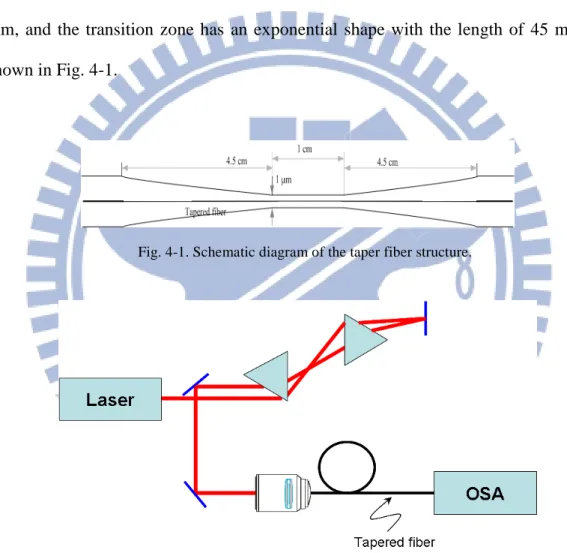 Fig. 4-1. Schematic diagram of the taper fiber structure. 