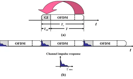 Figure 1.4  (a) a OFDM symbol format   