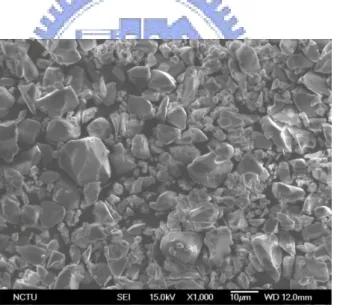 Fig. 4-2 Top view of the phosphor layer captured by a scanning electron microscope (SEM)