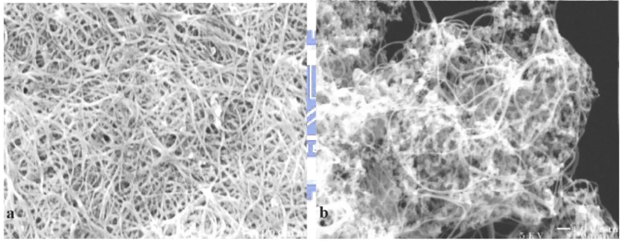 Figure 2.7 (a) and (b) are SEM images comparing the surface of buckypaper with  and without purification