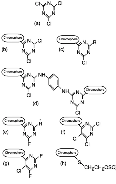 圖 2- 7、 不 同 種 類 的 染 料 配 體 結 構 示 意 圖 60