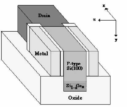 Fig 5.3. (b) Top view of strained Si DG device 