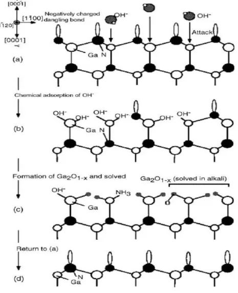Fig. 2.11 Schematic diagrams of the cross-section GaN film viewed along the  [ 1 1 20 ] direction for N-polar GaN to explain the mechanism of the polarity selective etching