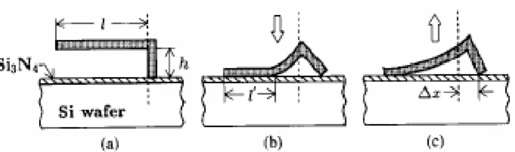 Figure 1-4. Step size estimated from experimental results in Langlet’s work [19].