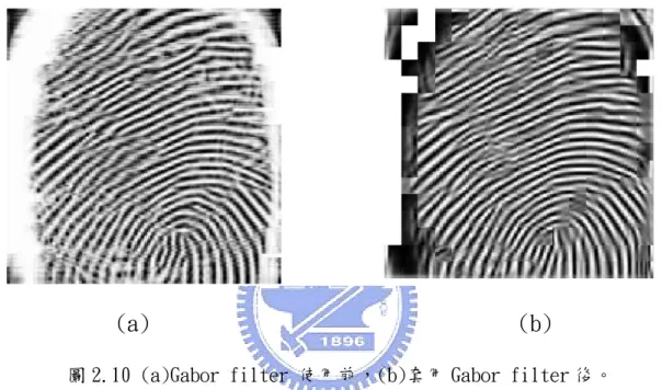 圖 2.10 (a)Gabor filter 使用前，(b)套用 Gabor filter 後。 
