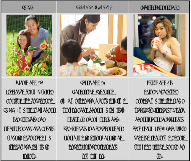 Table 3-1. The Three Main Personas 