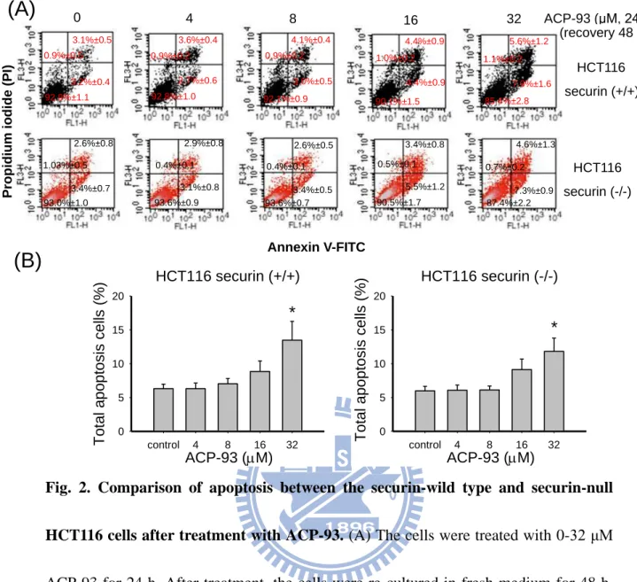 Fig.  2.  Comparison  of  apoptosis  between  the  securin-wild  type  and  securin-null  HCT116 cells after treatment with ACP-93