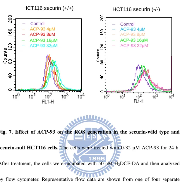 Fig.  7.  Effect  of  ACP-93  on  the  ROS  generation  in  the  securin-wild  type  and  securin-null HCT116 cells.