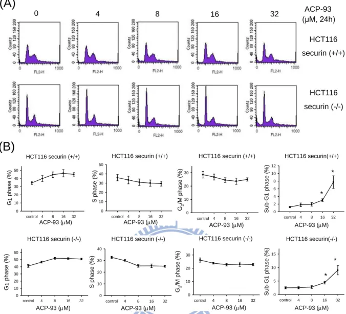 Fig.  9.  Effect  of  ACP-93  on  cell  cycle  progression  in  the  securin-wild  type  and  securin-null HCT116 cells