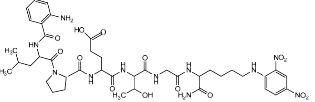 圖 1-11：Abz-LPETG-Dnp 之結構式 