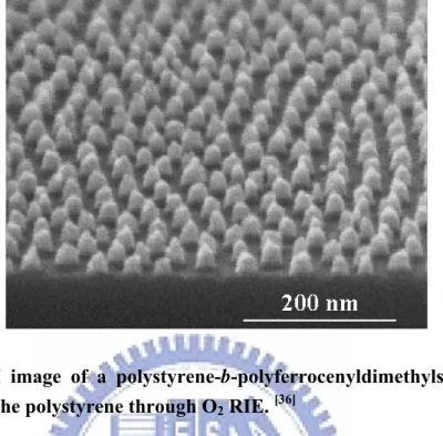 Figure 1-9.  SEM image of a polystyrene-b-polyferrocenyldimethylsilane mask  after removal of the polystyrene through O 2  RIE