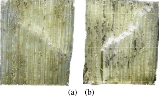 Figure 6. Time histories of the contact forces for 5 degree off-axis specimen 